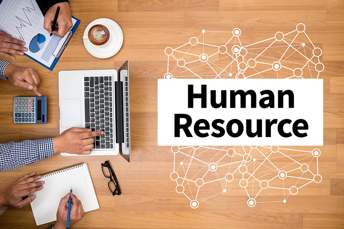 The Role of Online HRM Software in Transforming the HR Business Function